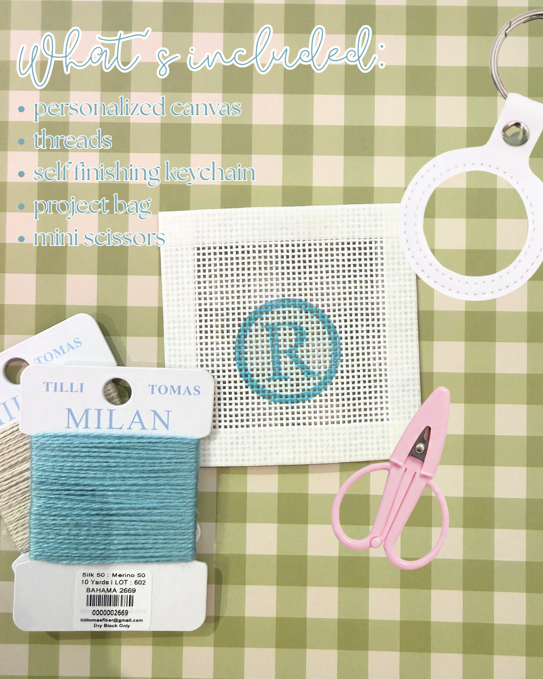 Needlepoint 101 Class