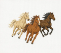Running Horses Canvas