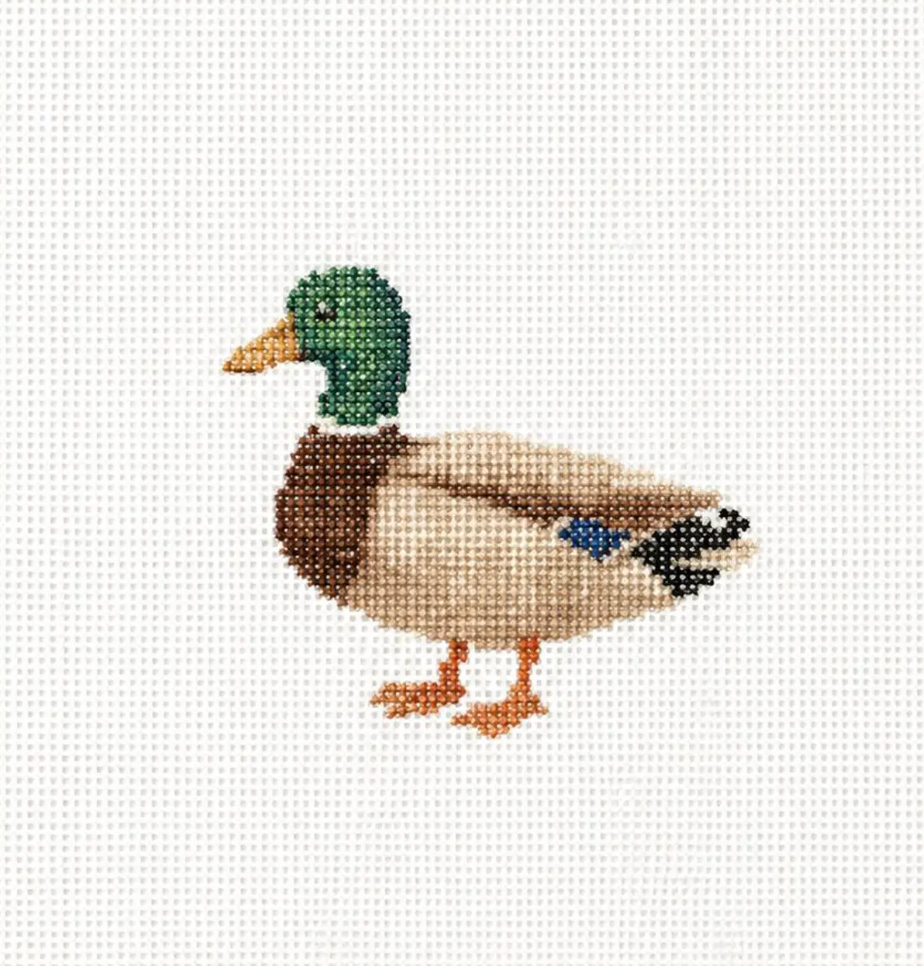 Mallard Canvas